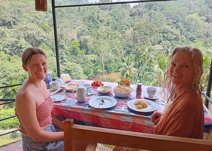 Rainforest View