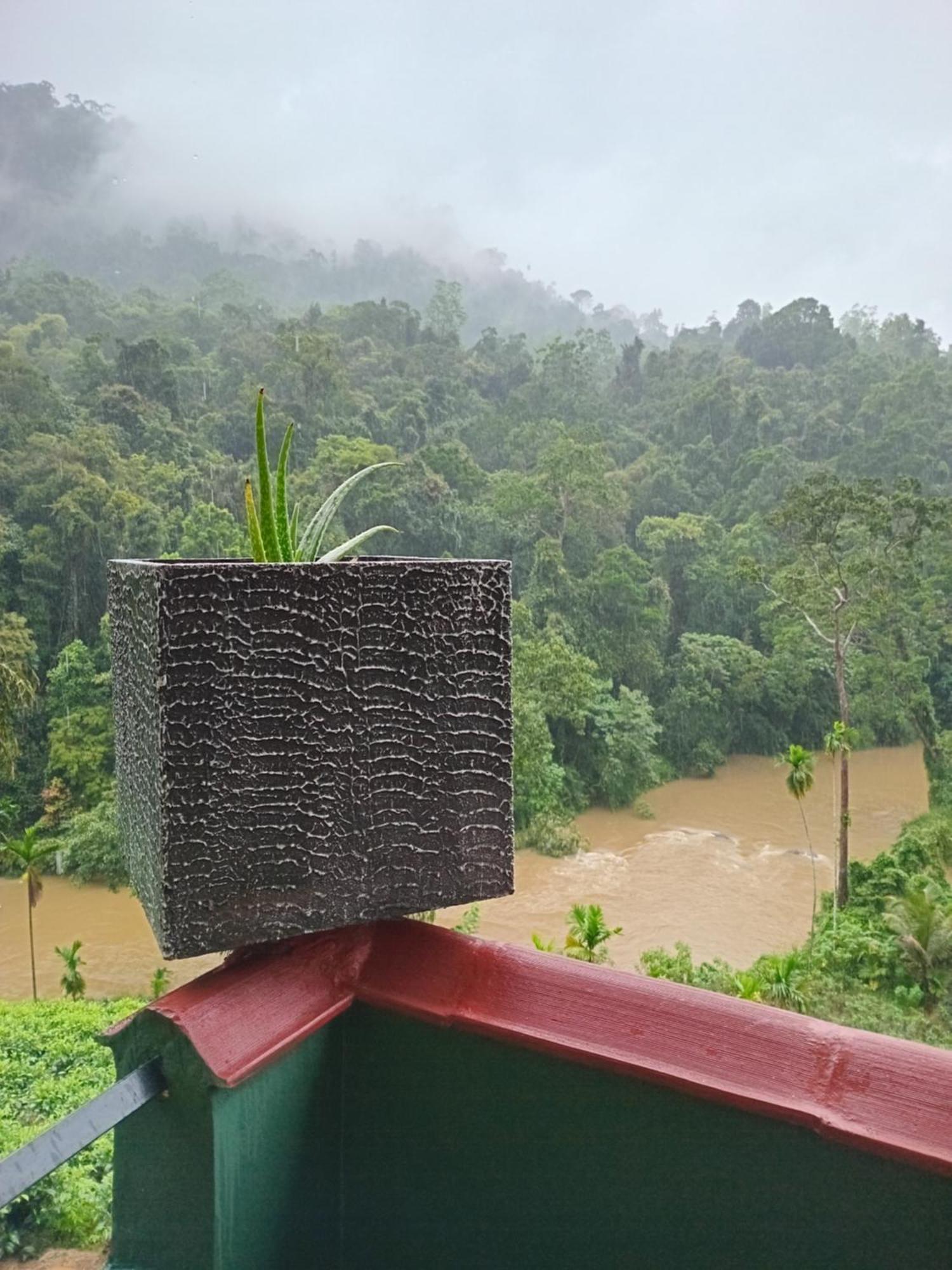 Homestay Rainforest View Deniyaya