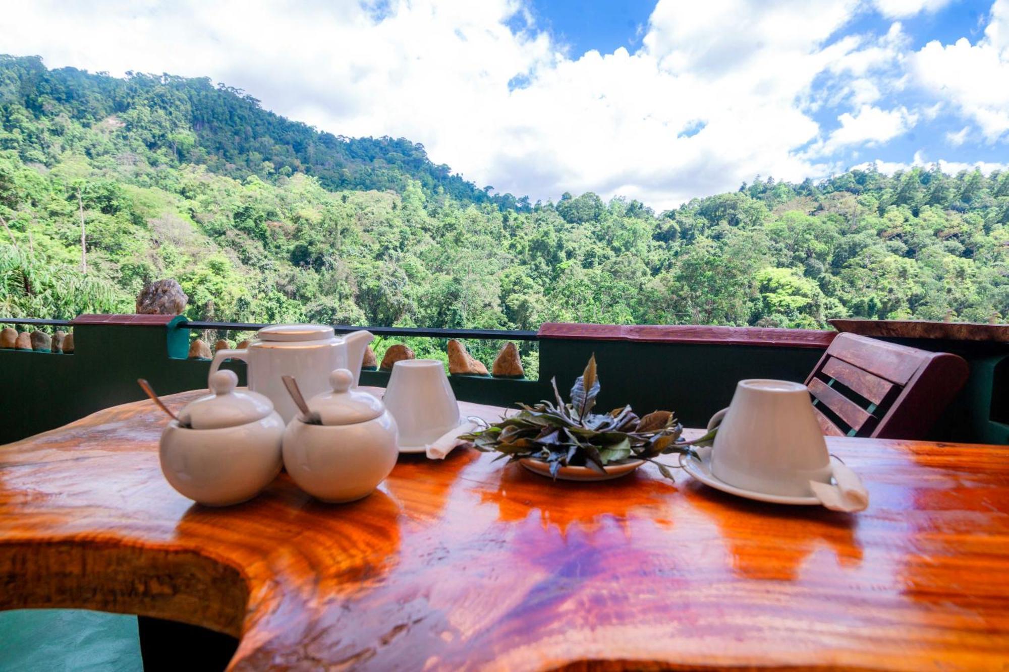 Rainforest View * Deniyaya